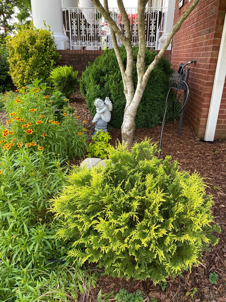 | Landscape Design