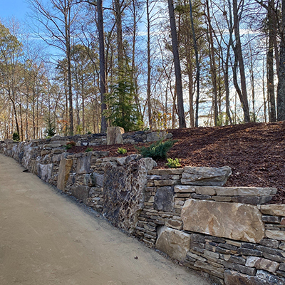Carlson | Landscape Design
