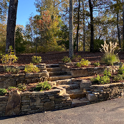 Donald | Landscape Design