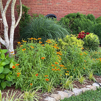 dunn_manor | Landscape Design